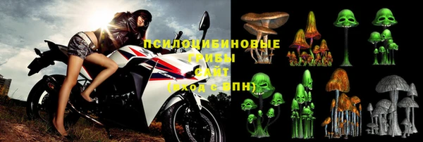 ГАЛЛЮЦИНОГЕННЫЕ ГРИБЫ Михайловск