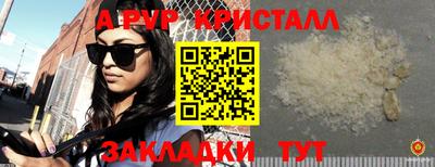 спиды Донской