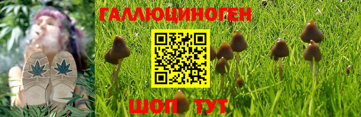 Галлюциногенные грибы Magic Shrooms  Вход с VPN  дарнет шоп  Ярославль 